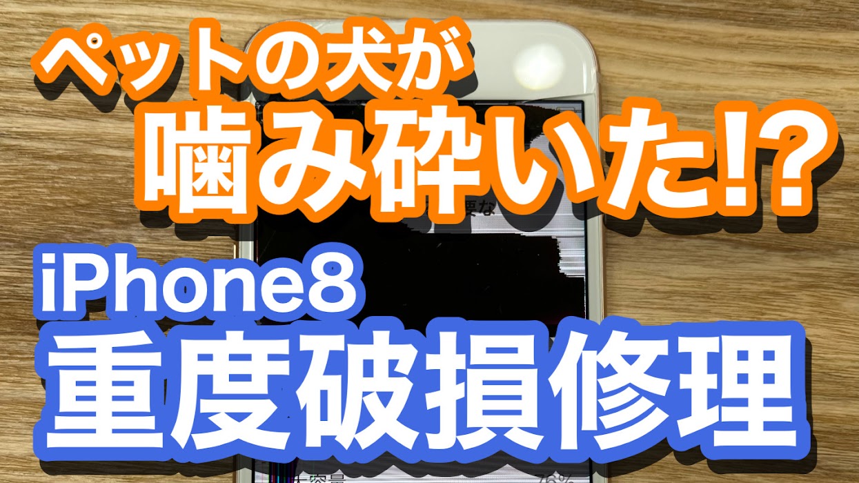 iPhone8ペットの犬が噛み砕いた液晶の破損修理を紹介