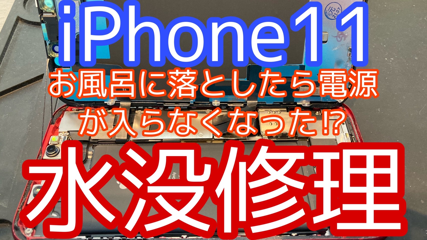 iPhone11アイキャッチ画像